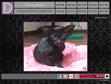 Tablet Screenshot of dolcegattina.com